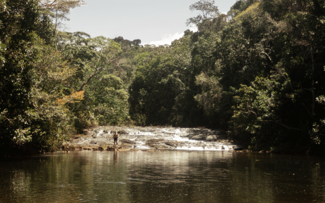 7 Curiosidades Fascinantes sobre o Rio Tijuípe: Um Tesouro Natural da Bahia