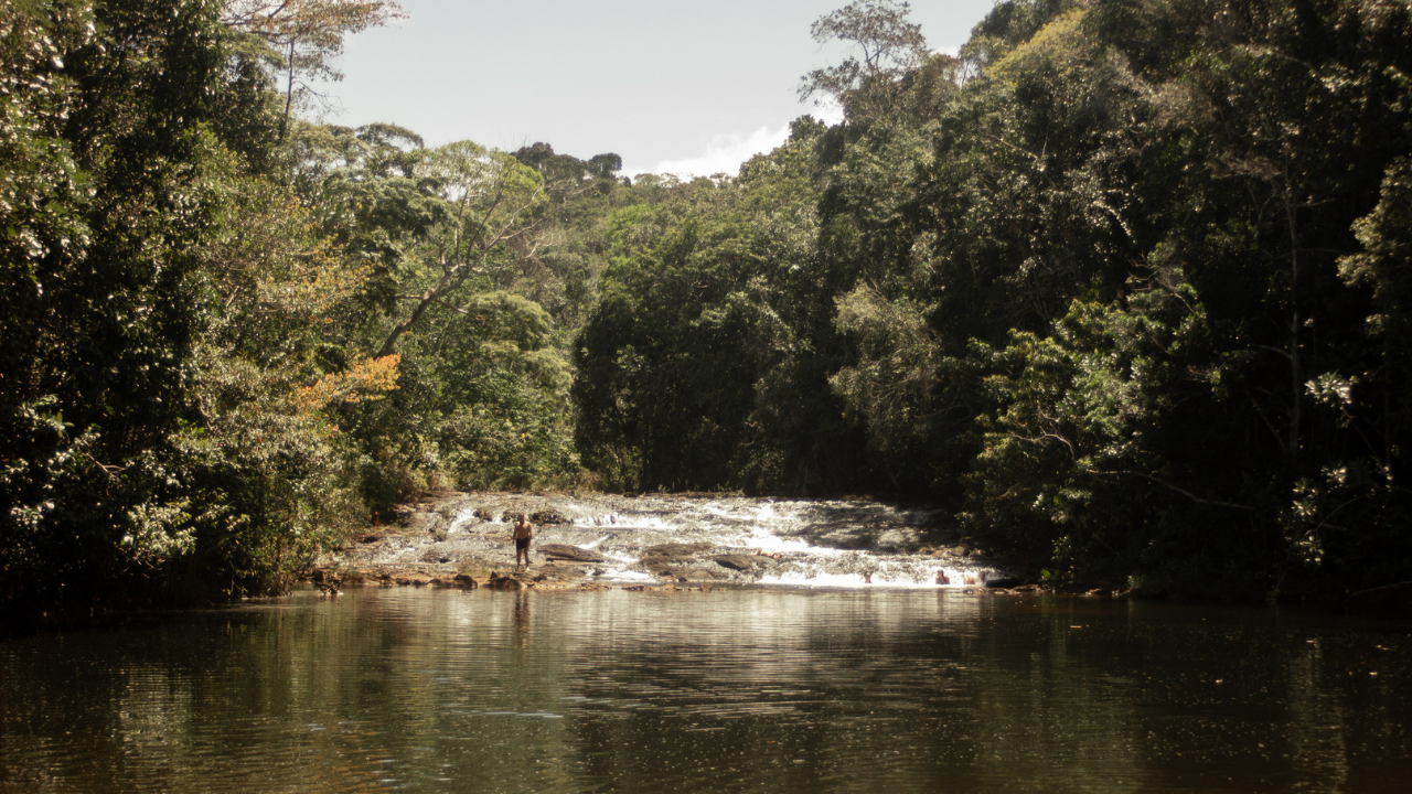 A grande revelacao, irineu