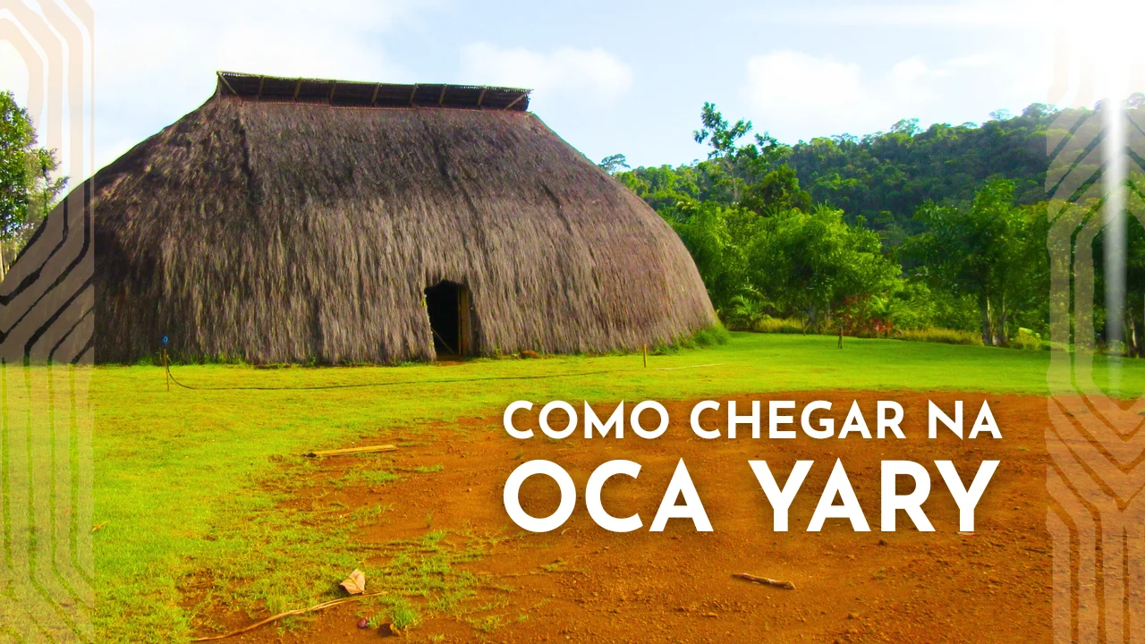 A grande revelacao, irineu